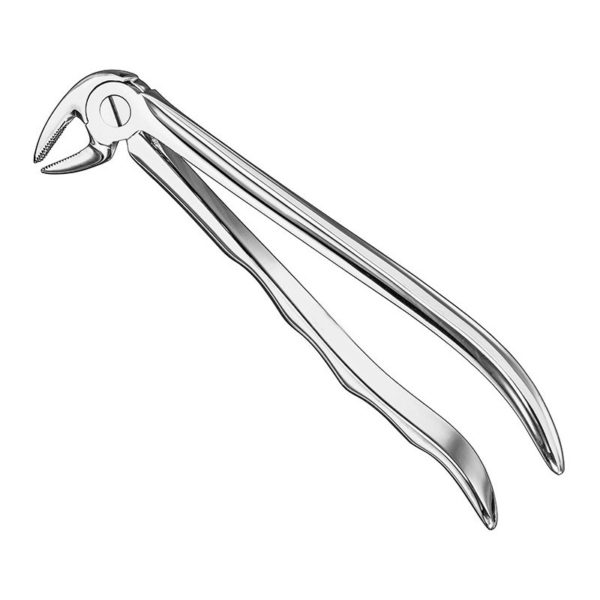 extracting-forceps-anat-6 1