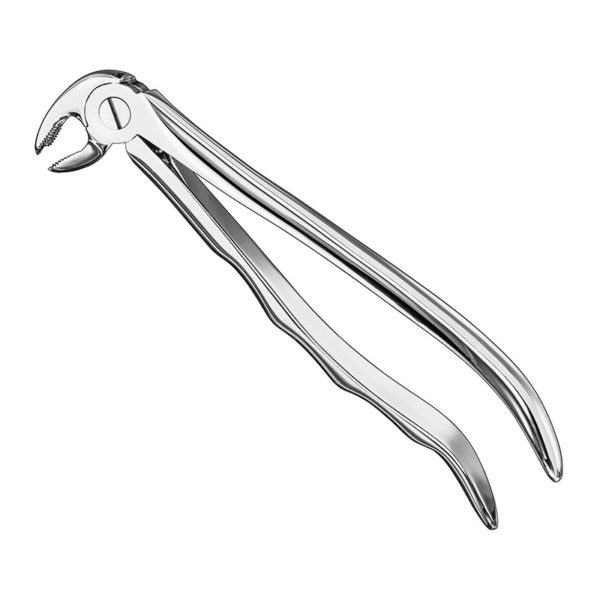 extracting-forceps-anat-9 1