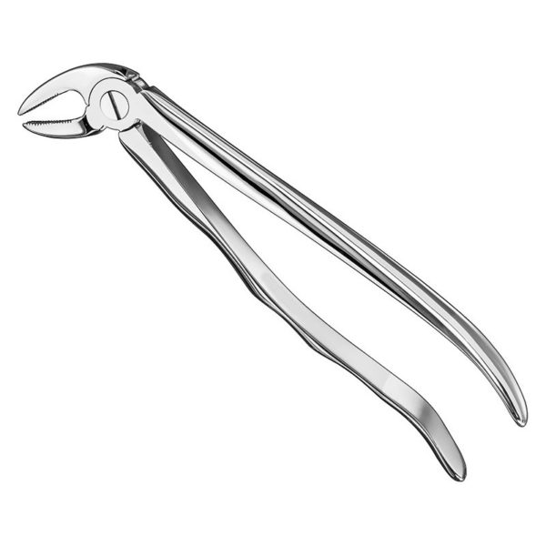 extracting-forceps-anat-15 1