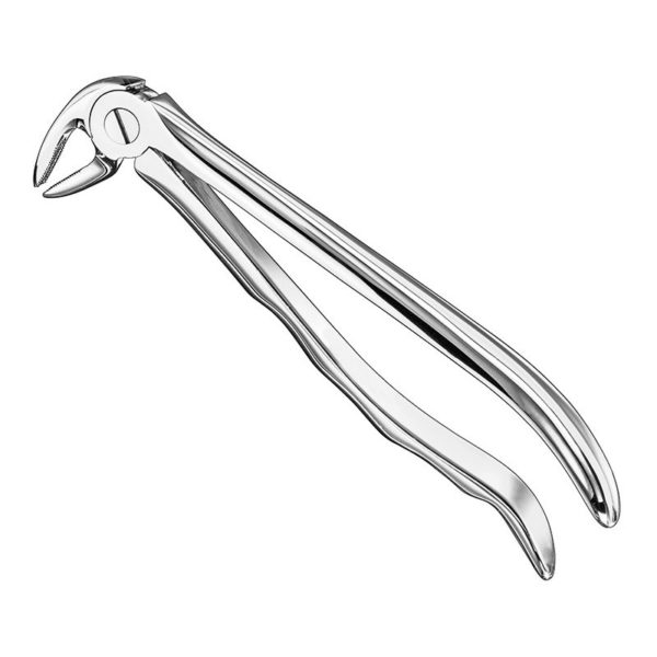 extracting-forceps-anat-18 1