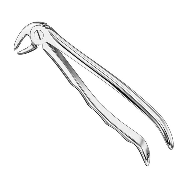 extracting-forceps-anat-5 1