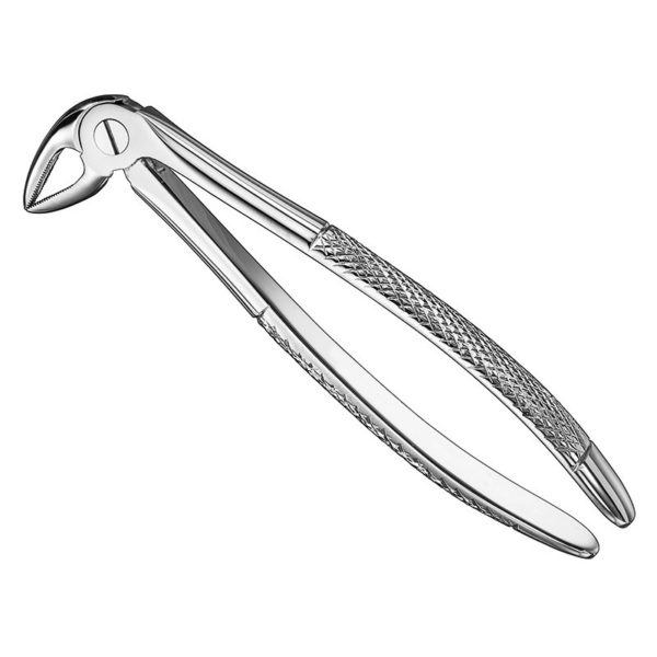extracting-forceps-engl-19 1