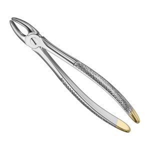 extracting-forceps-engl