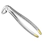 extracting-forceps-engl-6 1