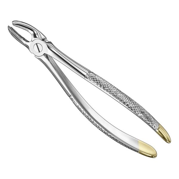 extracting-forceps-engl-8 1